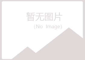 宁夏白山钢结构有限公司